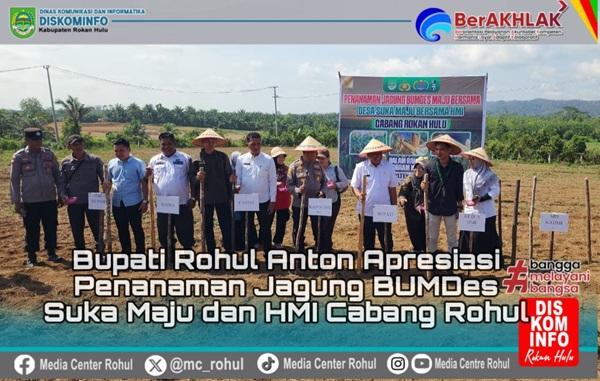 Bupati Anton bersama Pengurus BUMDesa Suka Maju dan HMI Rokan Hulu saat penanaman jagung