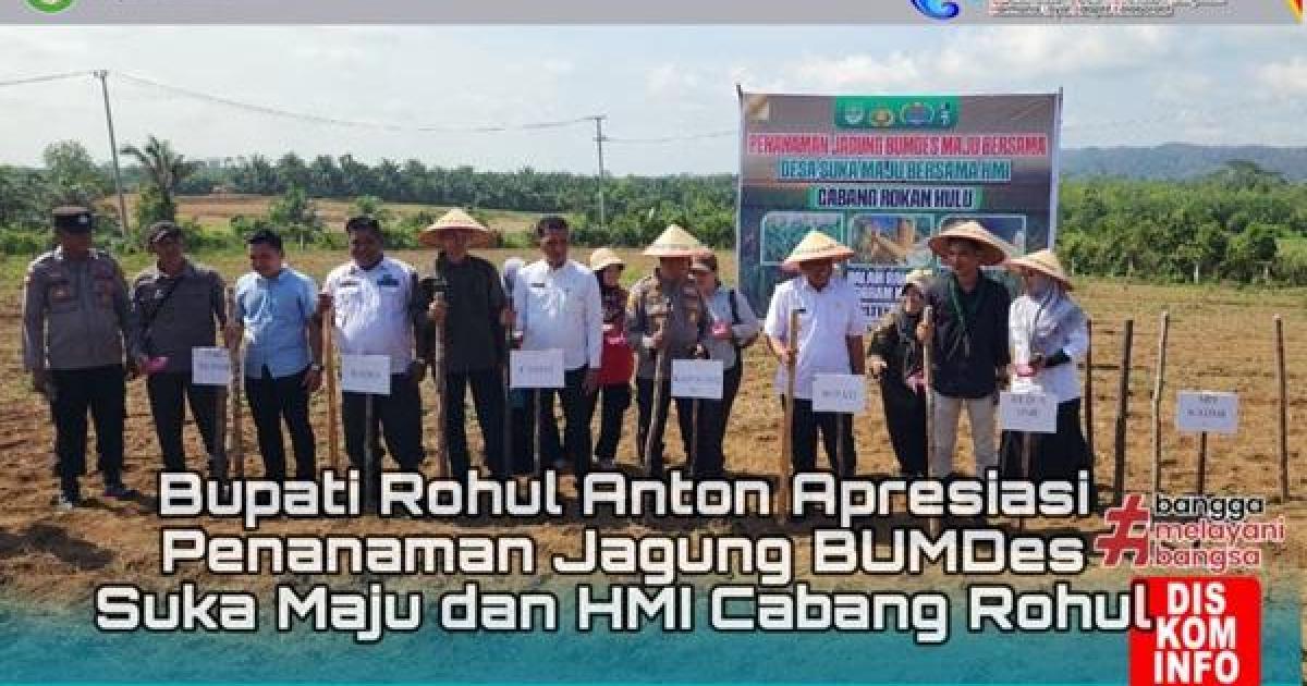 Bupati Anton bersama Pengurus BUMDesa Suka Maju dan HMI Rokan Hulu saat penanaman jagung